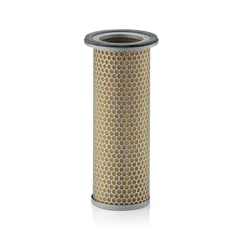 MANN-FILTER Sekundärluftfilter C 1281 - C1281 für 70662609