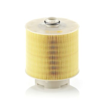 MANN-FILTER Luftfilter C 17 137 x - C17137x für 059...