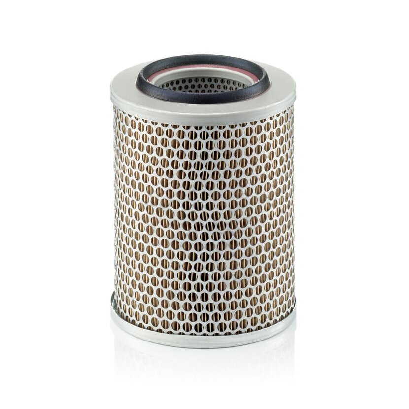 MANN-FILTER Luftfilter C 17 160 - C17160 für 05821084