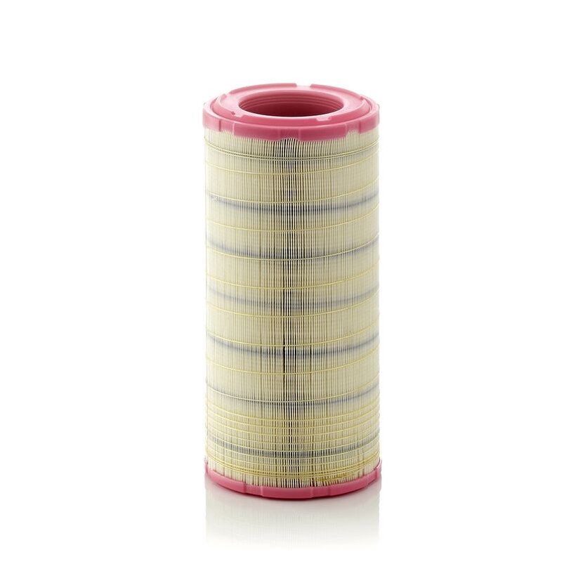 MANN-FILTER Luftfilter C 19 460/2 - C19460/2 für 11110283