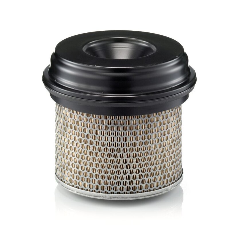 MANN-FILTER Luftfilter C 21 338 - C21338 für 001 094 65 04