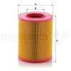 MANN-FILTER Luftfilter C 23 005 - C23005 für ML 126032
