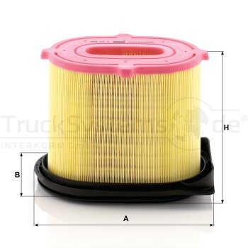 MANN-FILTER Luftfilter C 23 220 - C23220 für 11115330