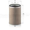 MANN-FILTER Luftfilter C 24 719 - C24719 für 1909136