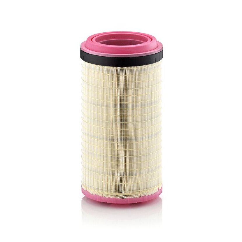 MANN-FILTER Luftfilter C 25 900 - C25900 für 11492792