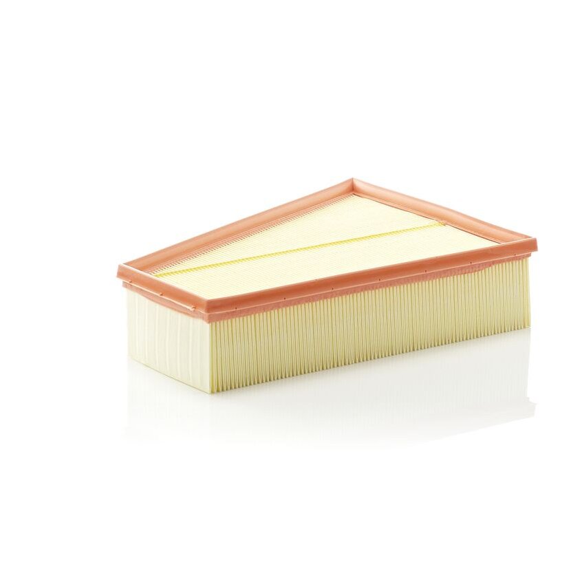 MANN-FILTER Luftfilter C 30 161 - C30161 für 1418 883