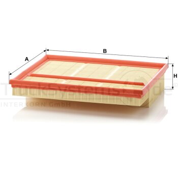MANN-FILTER Luftfilter C 30 195/2 - C30195/2 für 604...