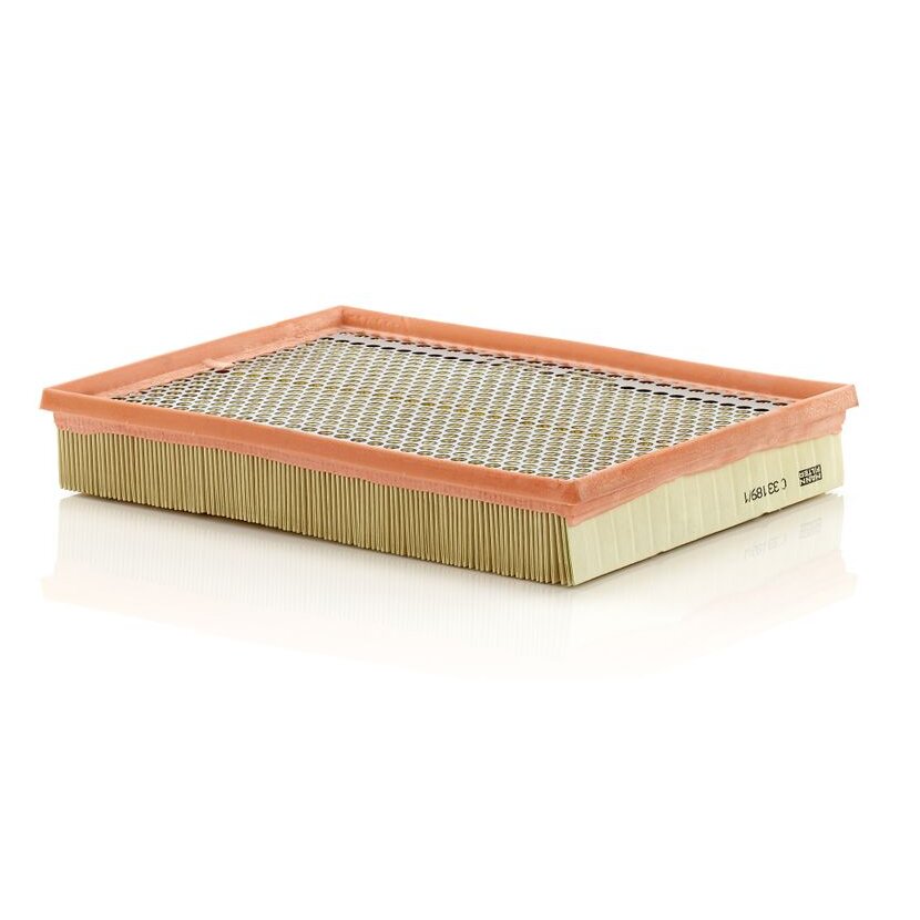 MANN-FILTER Luftfilter C 33 189/1 - C33189/1 für 73502069