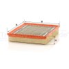 MANN-FILTER Luftfilter C 33 189/1 - C33189/1 für 73502069