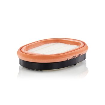 MANN-FILTER Sekundärluftfilter CF 2550/1 - CF2550/1...