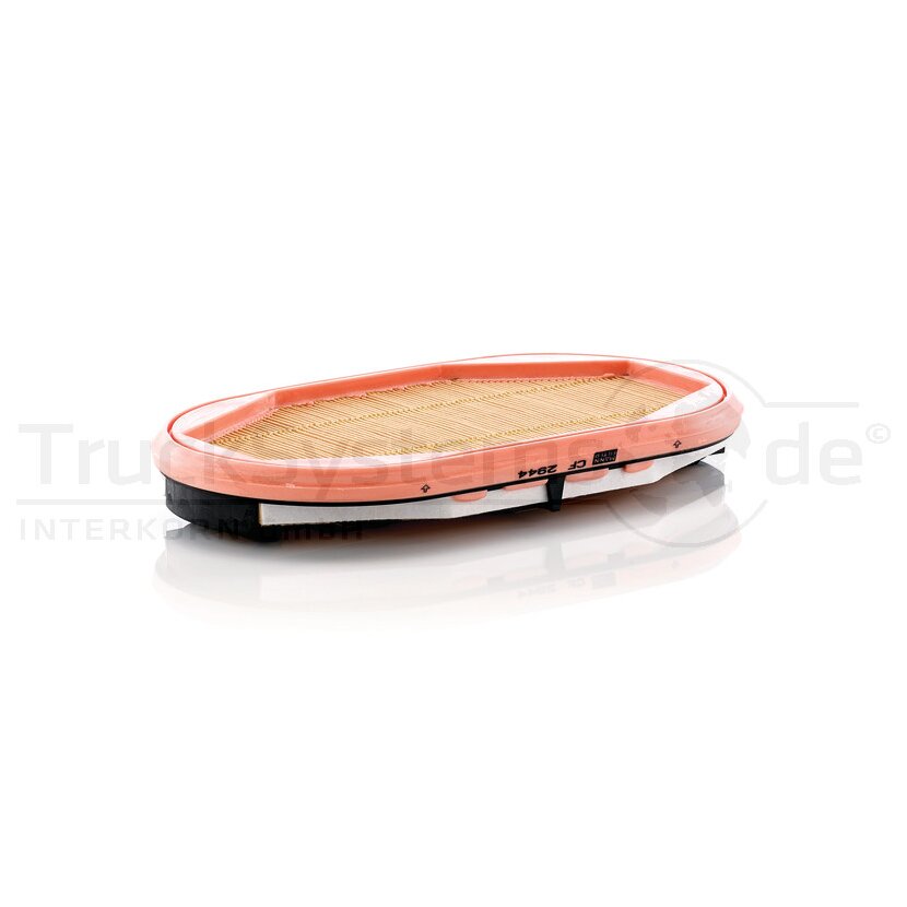 MANN-FILTER Sekundärluftfilter CF 2944 - CF2944 für 12265206