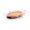 MANN-FILTER Sekundärluftfilter CF 2944 - CF2944 für 12265206