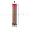 MANN-FILTER Sekundärluftfilter CF 850/2 - CF850/2 für 4916 566 M 1
