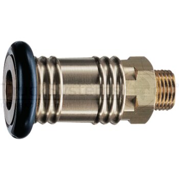 EWO Kupplung 3/4 Aussengewinde DN 12  - 254.03 -...