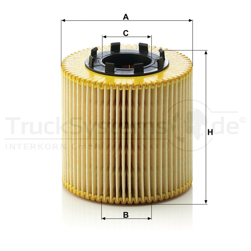 MANN-FILTER Ölfilter HU 923 x - HU923x für 15209-00Q0C