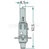 Halogenlampe H1 12 Volt 55 Watt P14  - 47712V55WH1 - 8GH002089133