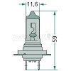 Halogenlampe H7 12 Volt   - 47712V55WH7 - 89901202