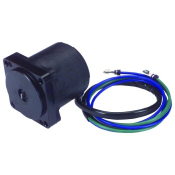 Gleichstrommotor 12V - 10844N