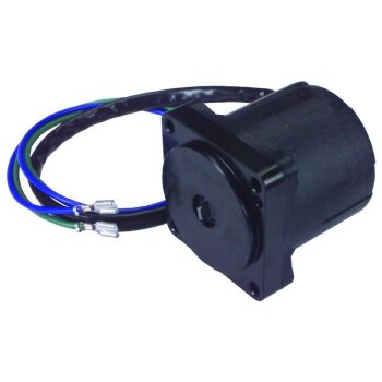 Gleichstrommotor 12V - 10816N-L