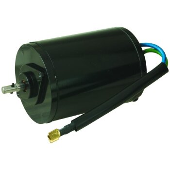 Gleichstrommotor 12V - 10818N
