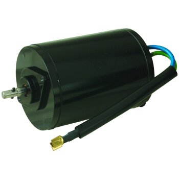 Gleichstrommotor 12V - 10818N