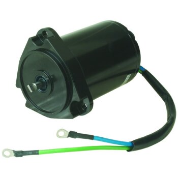 Gleichstrommotor 12V - 10812N