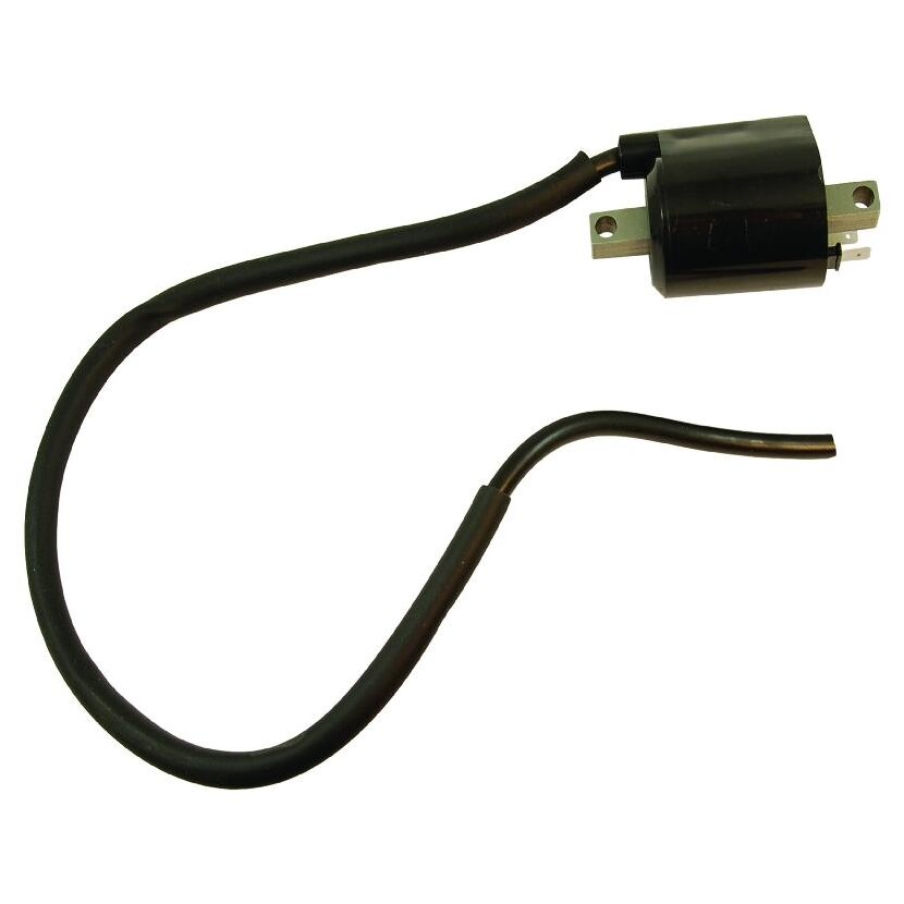Zündung Coil - CPS28