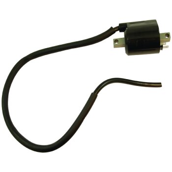 Zündung Coil - CPS28