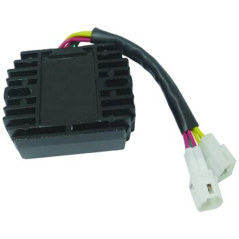 Regler/Gleichrichter Assy - S1006N