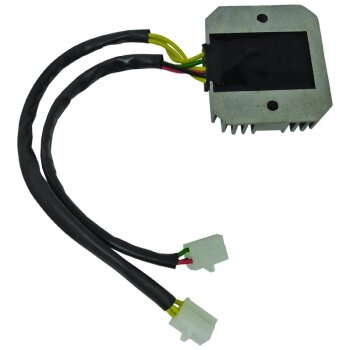 Regler/Gleichrichter Assy - H1031N
