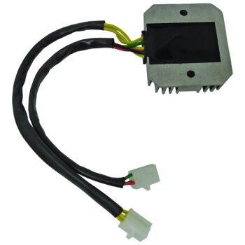 Regler/Gleichrichter Assy - H1031N