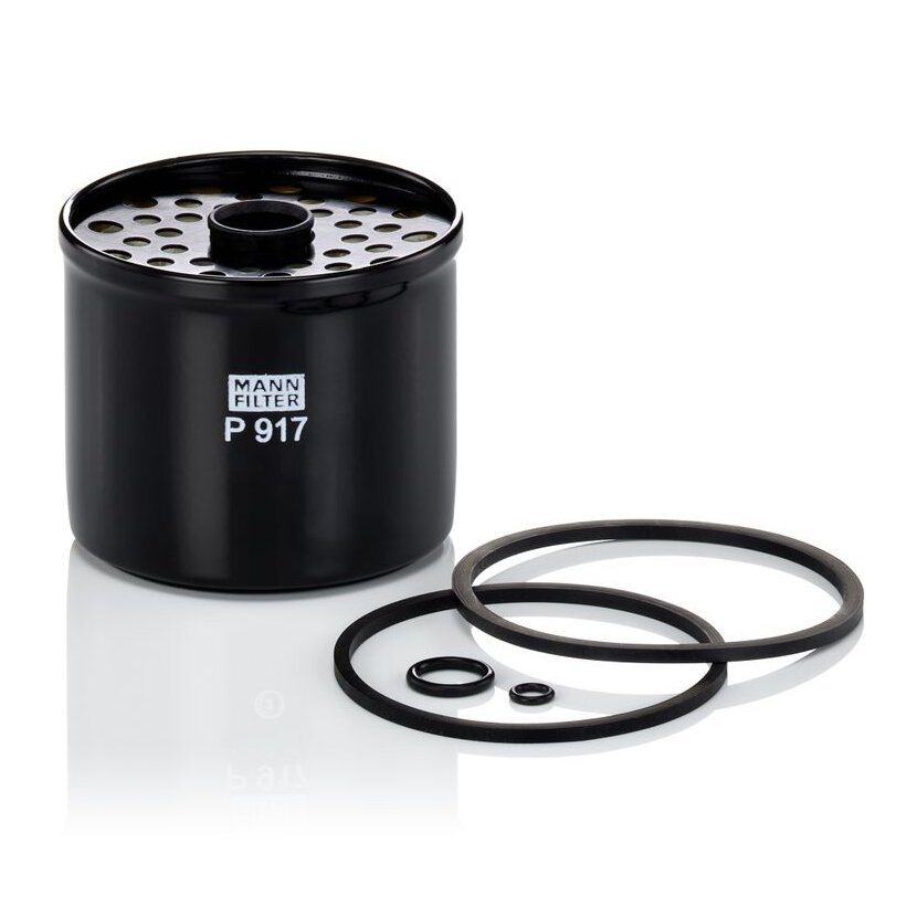 MANN-FILTER Kraftstofffilter P 917 x - P917x für 105640406001/02