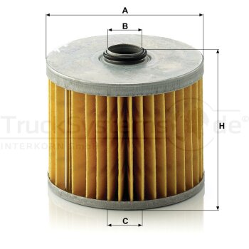 MANN-FILTER Kraftstofffilter P 923/1 x - P923/1x für...