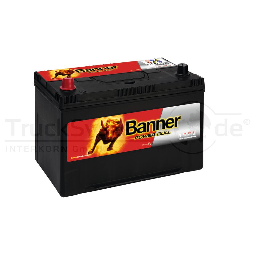 BANNER Starterbatterie Ca-Ca Banner 95Ah - 013595050101