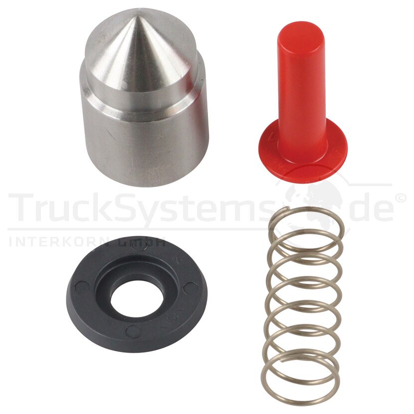 RINGFEDER Sicherung Typ: 5055 AW/AP/A 14 994 478  - 14994478 - 14 994 478