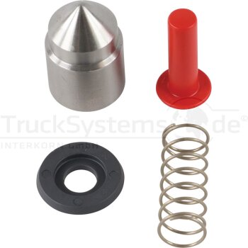 RINGFEDER Sicherung Typ: 5055 AW/AP/A 14 994 478  -...