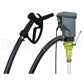 HORN TECALEMIT Elektro - Dieselpumpe 230V HORNET W 40  -...