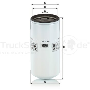 MANN-FILTER Ölfilter WP 12 308 - WP12308 für...