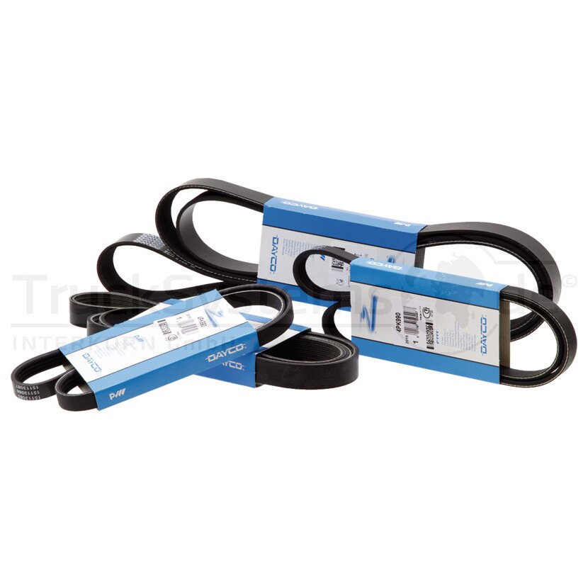 Dayco MAN Keilriemen M-F2000 TG 06.58073-2392 - AVX13x1450