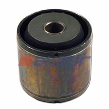 AUGER Buchse, Cabin 53492 - passend für IVECO 8141581