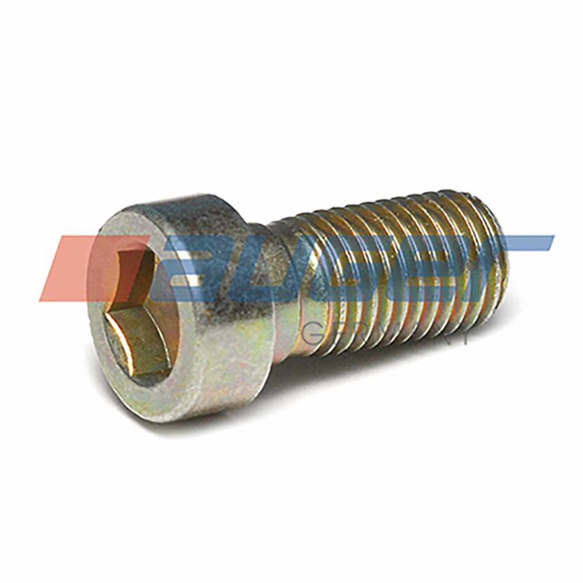AUGER Schraube, Bremsscheibe 80174 - passend für MAN 06021002555