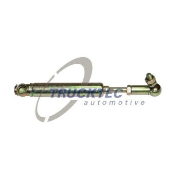 TRUCKTEC Abstellvorrichtung, Einspritzanlage 01.13.005 -...