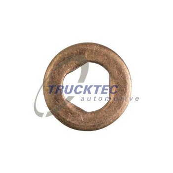 TRUCKTEC Wärmeschutzscheibe, Einspritzanlage...