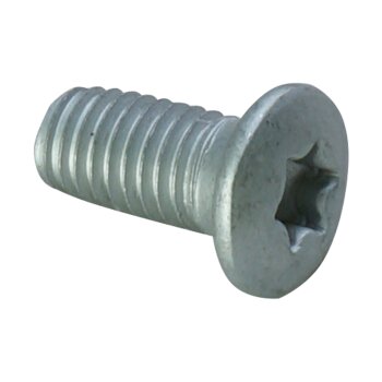 Torx Schraube M8 x 16, passend für K20 und K30