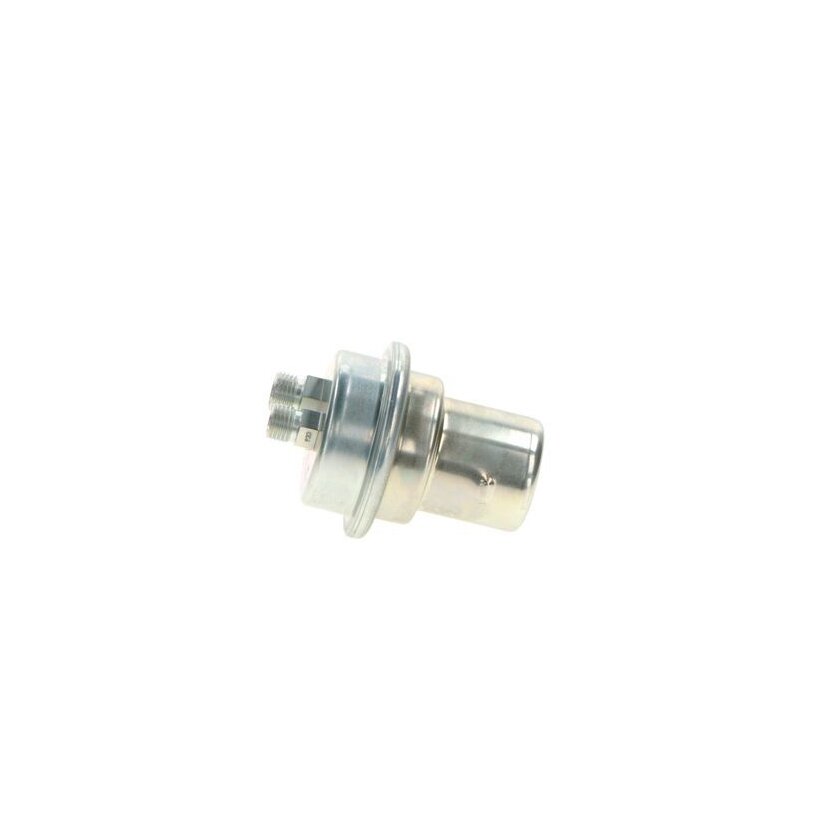 BOSCH Druckspeicher, Kraftstoffdruck 0 438 170 052 - 0438170052 passend für 04400653