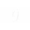 Wabco Lamelle 4110330524 - 411 033 052 4