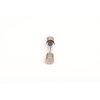 BOSCH Sicherung 1 987 529 902 - 1987529902