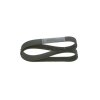 BOSCH Keilrippenriemen 1 987 947 081 - 1987947081 passend für 1935422