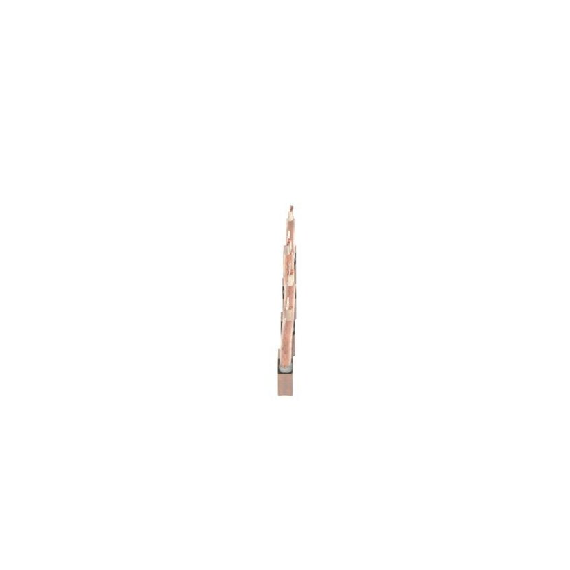 BOSCH Kohlebürste, Starter 2 007 014 070 - 2007014070 passend für 79052257