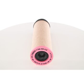 BOSCH Sekundärluftfilter F 026 400 210 - F026400210...